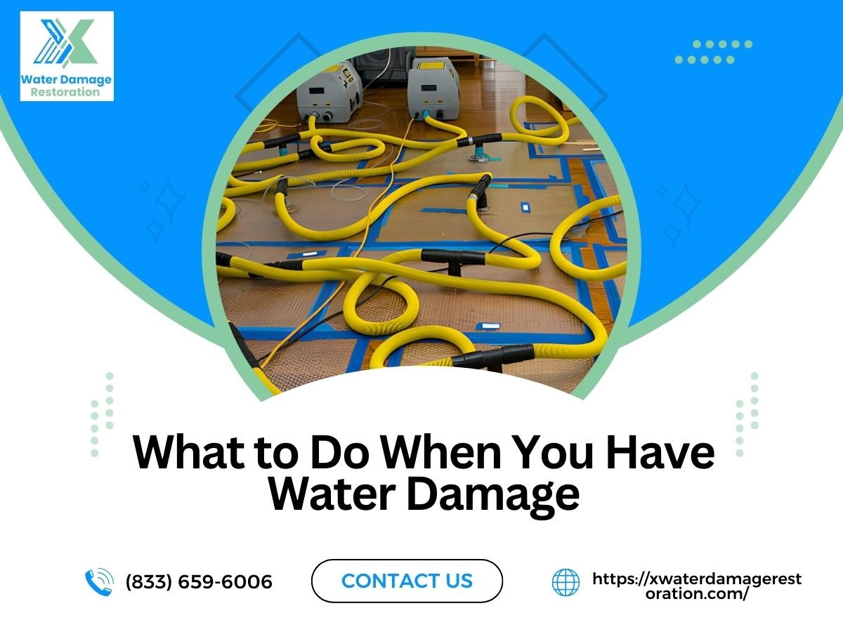 What to Do When You Have Water Damage